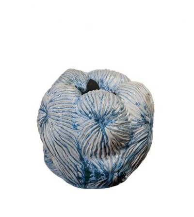 Vaso